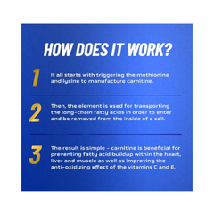 RONNIE COLEMAN Signature Series L-Carnitine 3000 Mg Liquid Ronnie Coleman