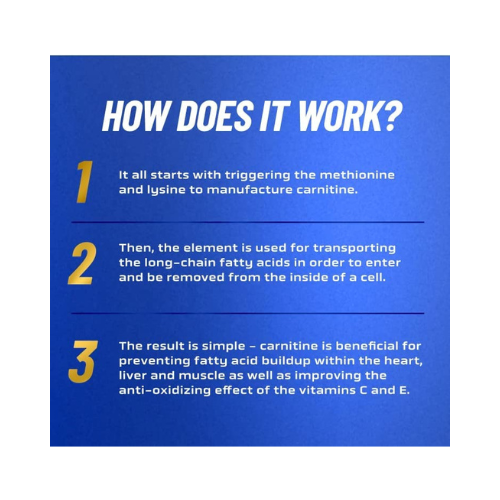 RONNIE COLEMAN Signature Series L-Carnitine 3000 Mg Liquid Ronnie Coleman